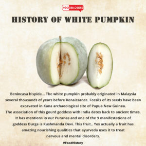 White Pumpkin History